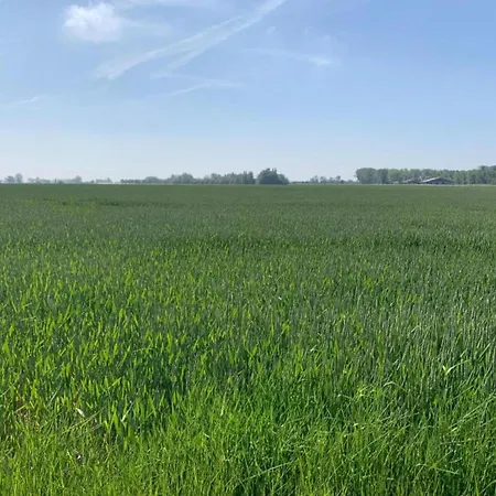 In By Sandy Beaches * Nieuwpoort