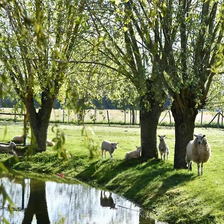 In By Sandy Beaches * Nieuwpoort