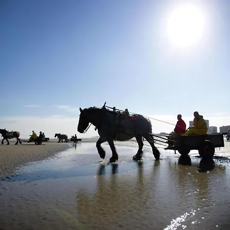 In By Sandy Beaches Apartament Nieuwpoort