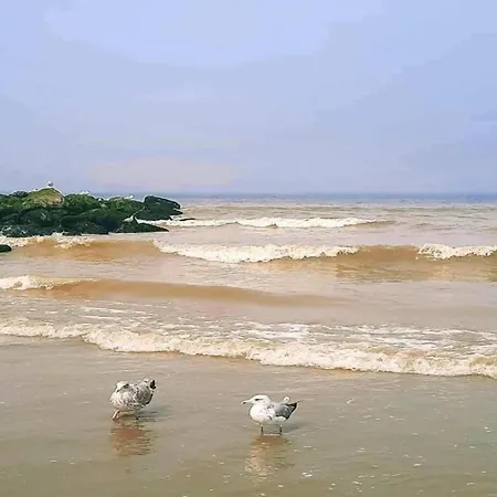 Apartament In By Sandy Beaches Nieuwpoort