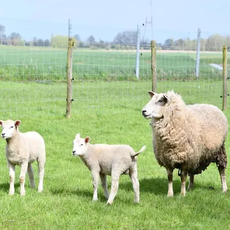 In By Sandy Beaches Nieuwpoort